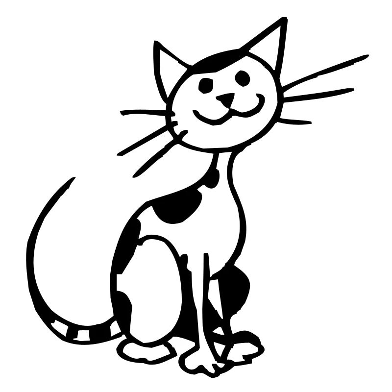 Chat