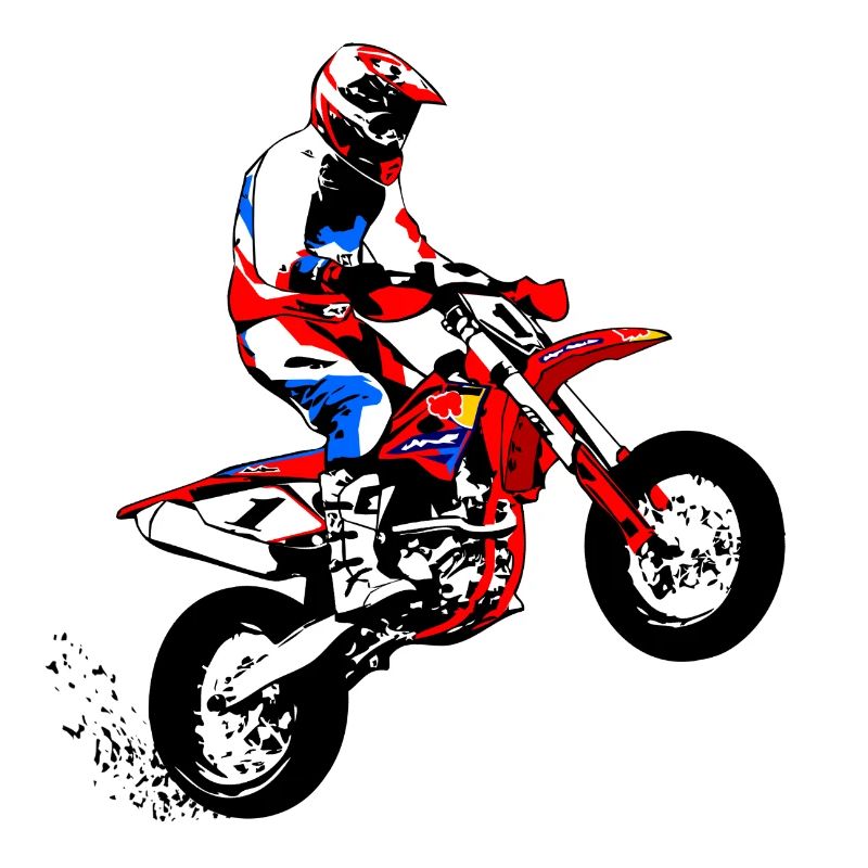 Supermoto Racer