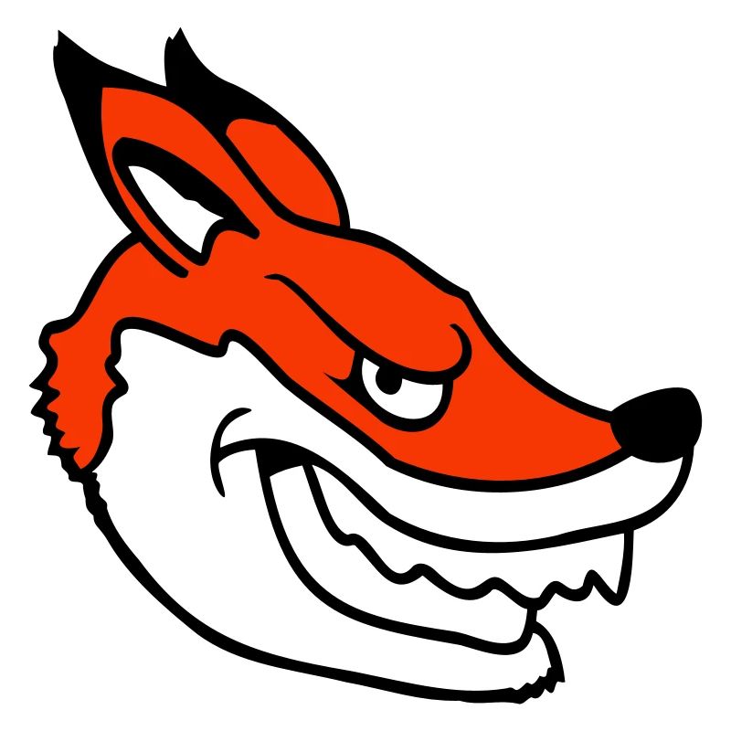 Fuchs Böser Blick Gefährlich Rotfuchs Wildes Tier