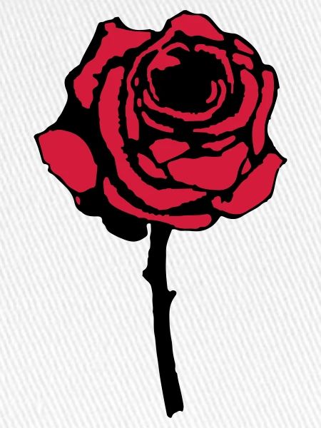 rose