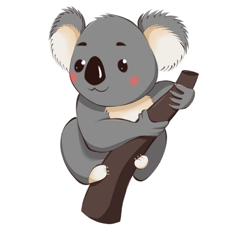 Koala