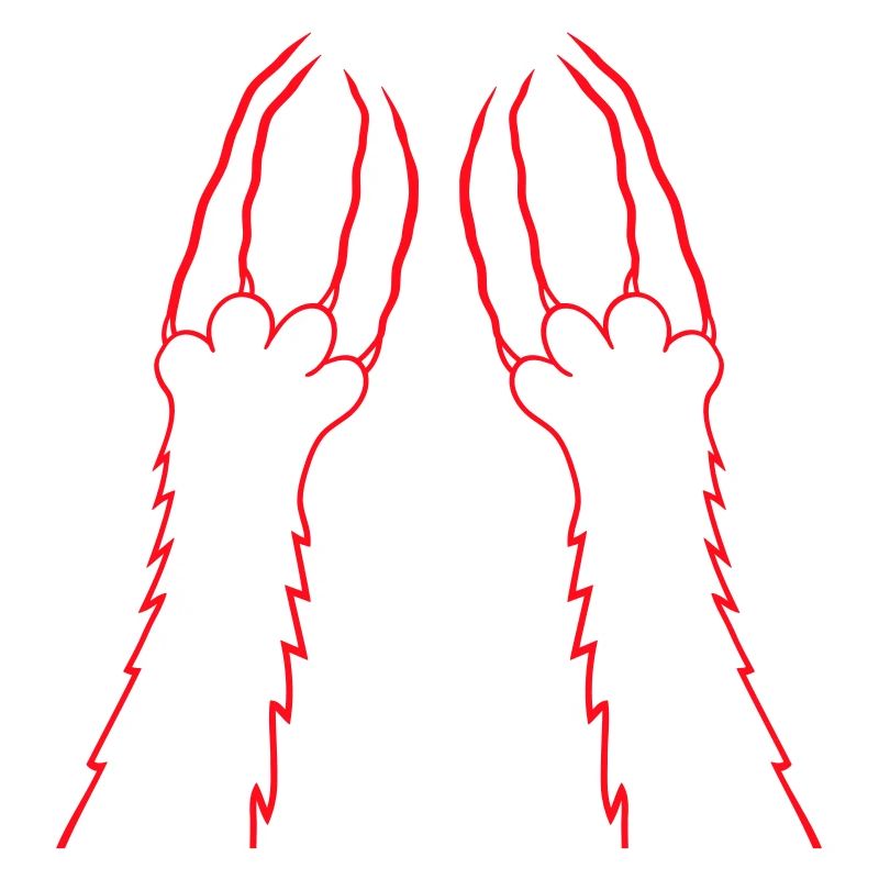 Chats, Griffes, Pattes, Pattes, Griffes, Griffures, Rayures