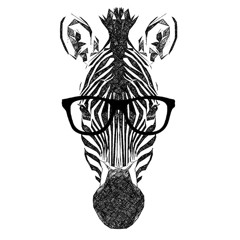 nerd_zebra