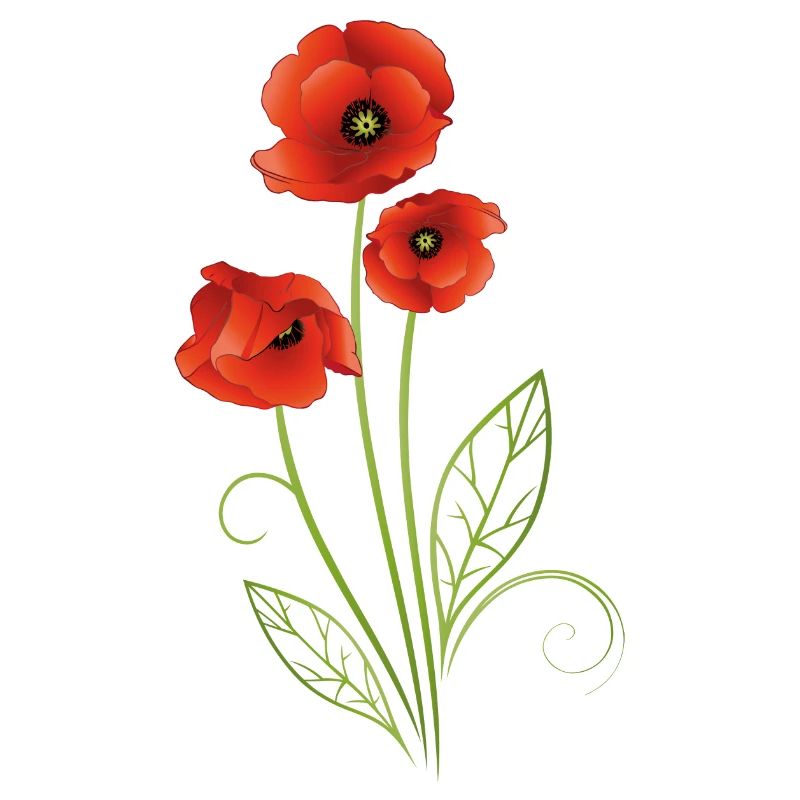 Coquelicots avec des feuilles de filigrane. Été.