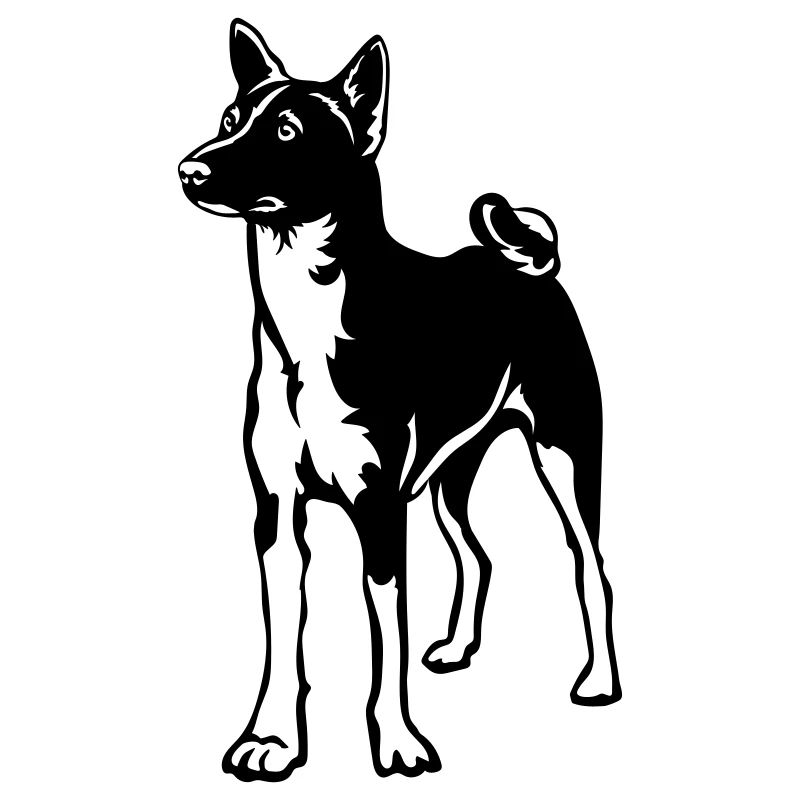 Basenji