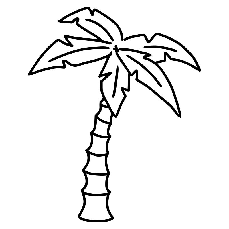 Palm tree sketch