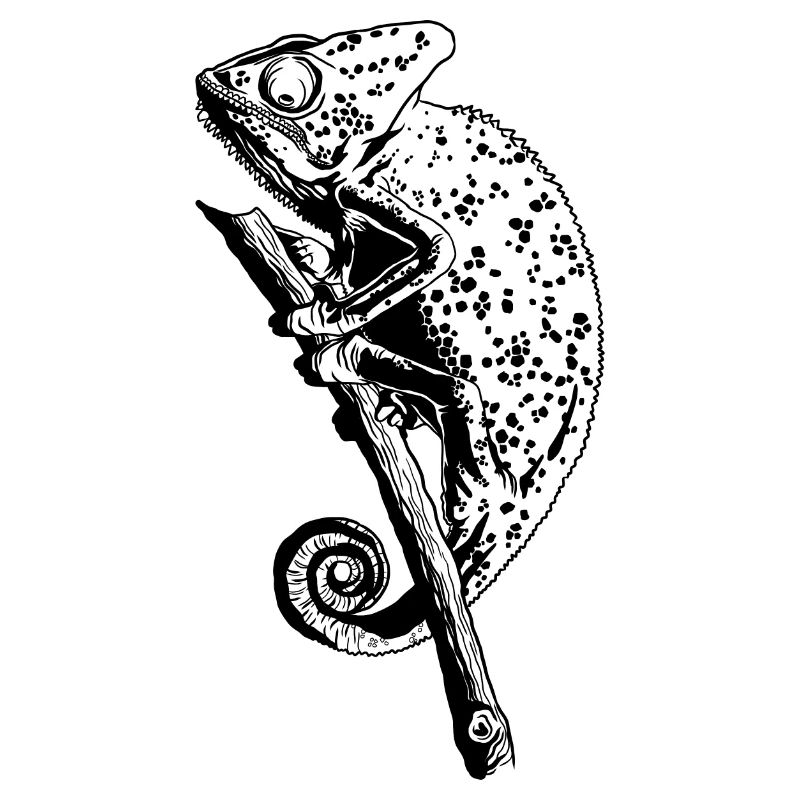 Chameleon Lizard Graphic Reptile Chameleon Lover