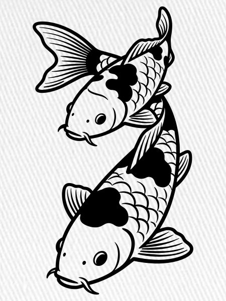 Koi-Karpfen