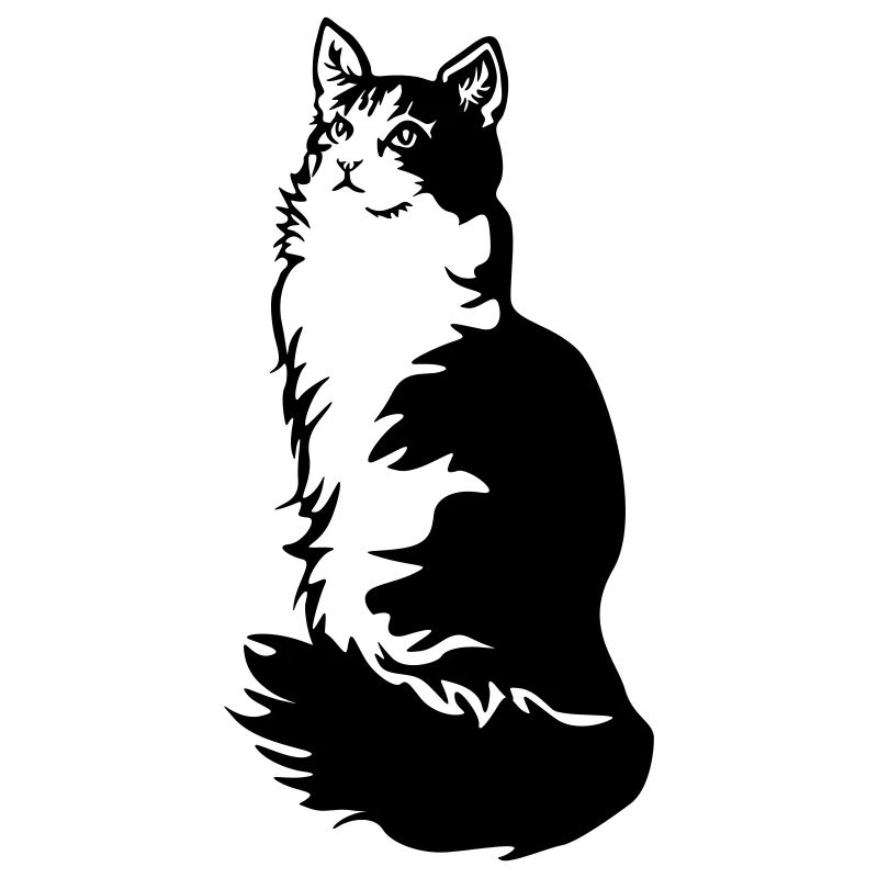 Smoking de chat des forêts norvégiennes