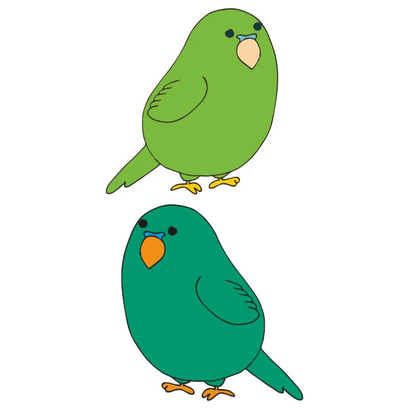 Budgie 2fold