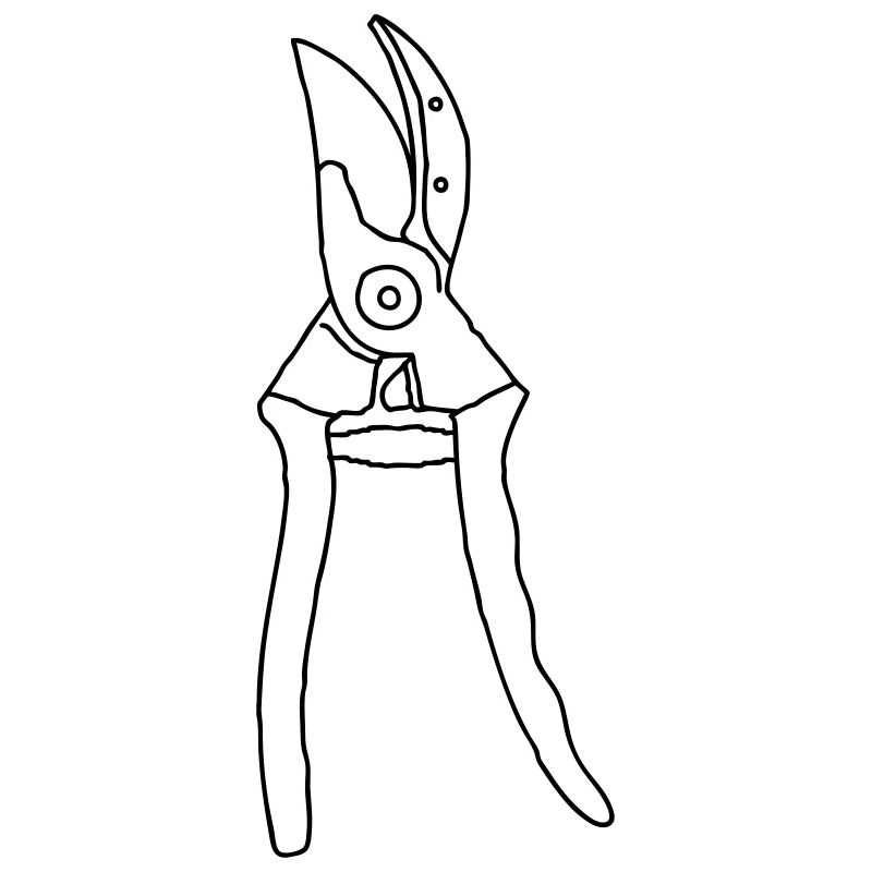 Garden Scissors