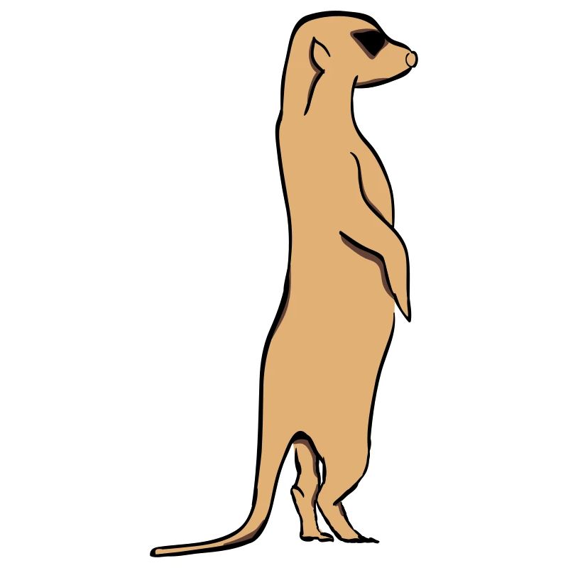 Erdmännchen
