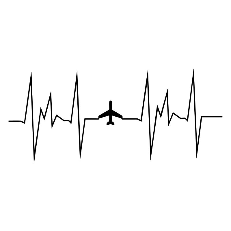 herzschlag flugzeug