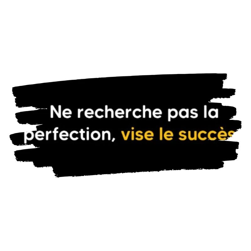 Ne cherche pas la perfection , vise le succès 