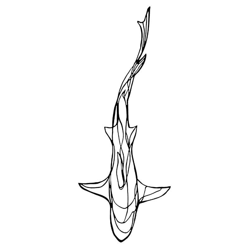 Silhouette de requin noir
