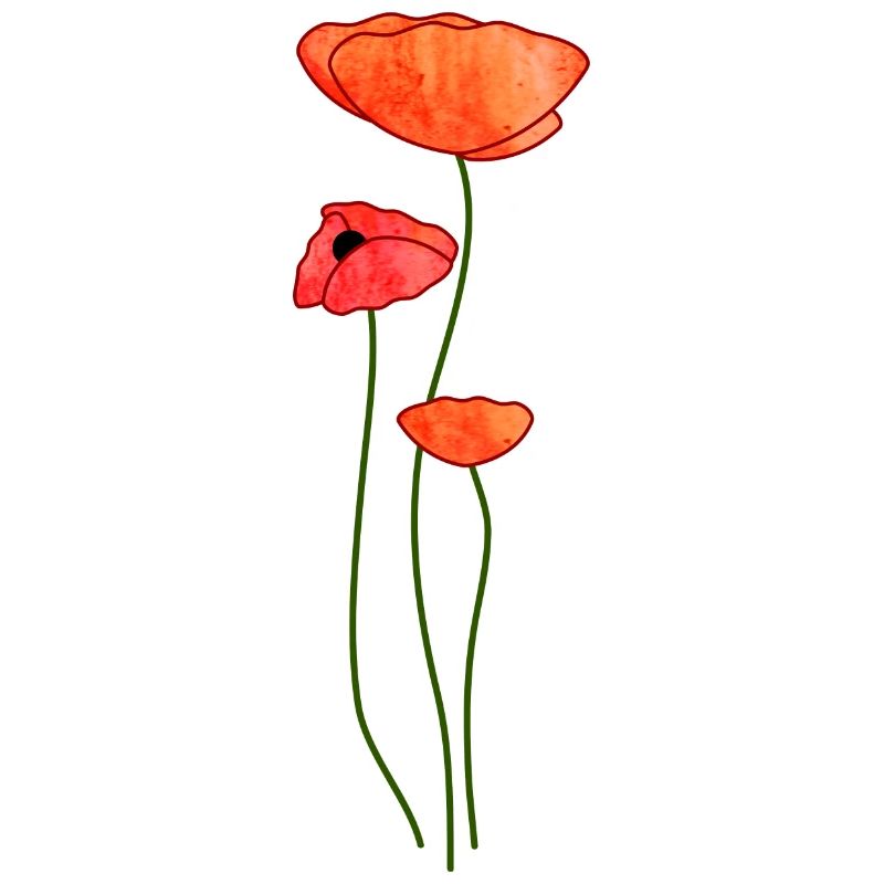 Drei Mohnblüten