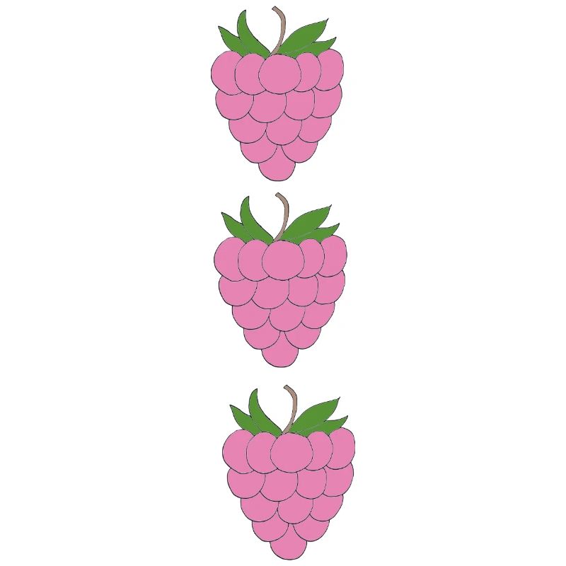 raspberries trio pattern