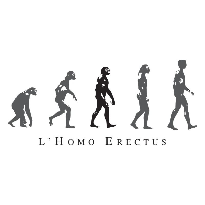 Evolution der menschlichen Haltung