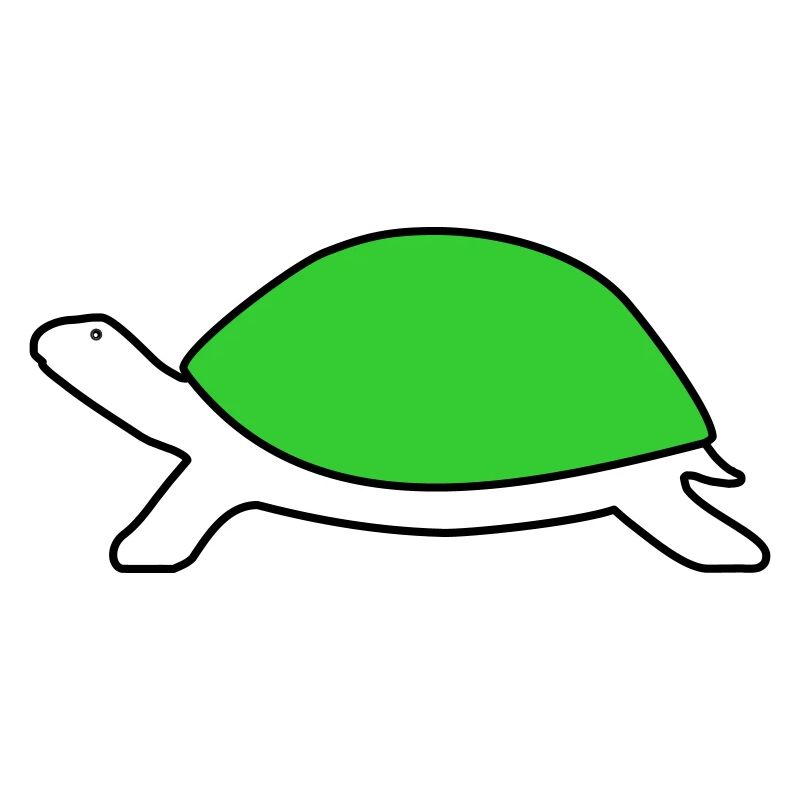Schildkröte