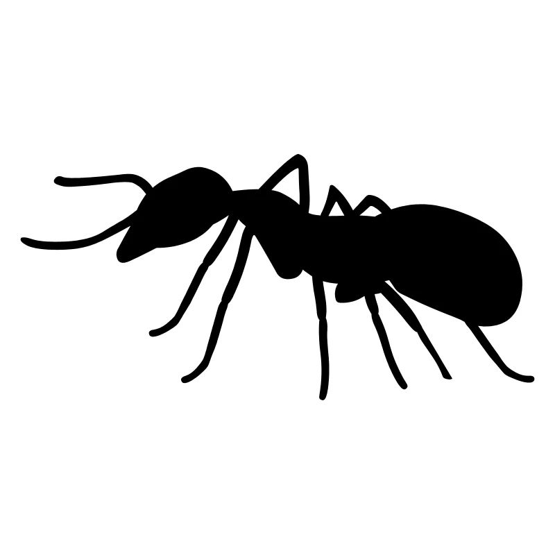 Ant