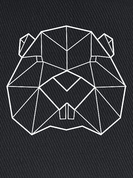 Biber Polygon