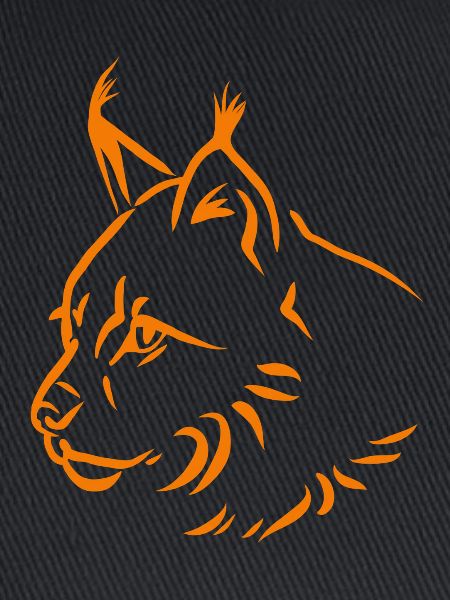 Luchs in orange