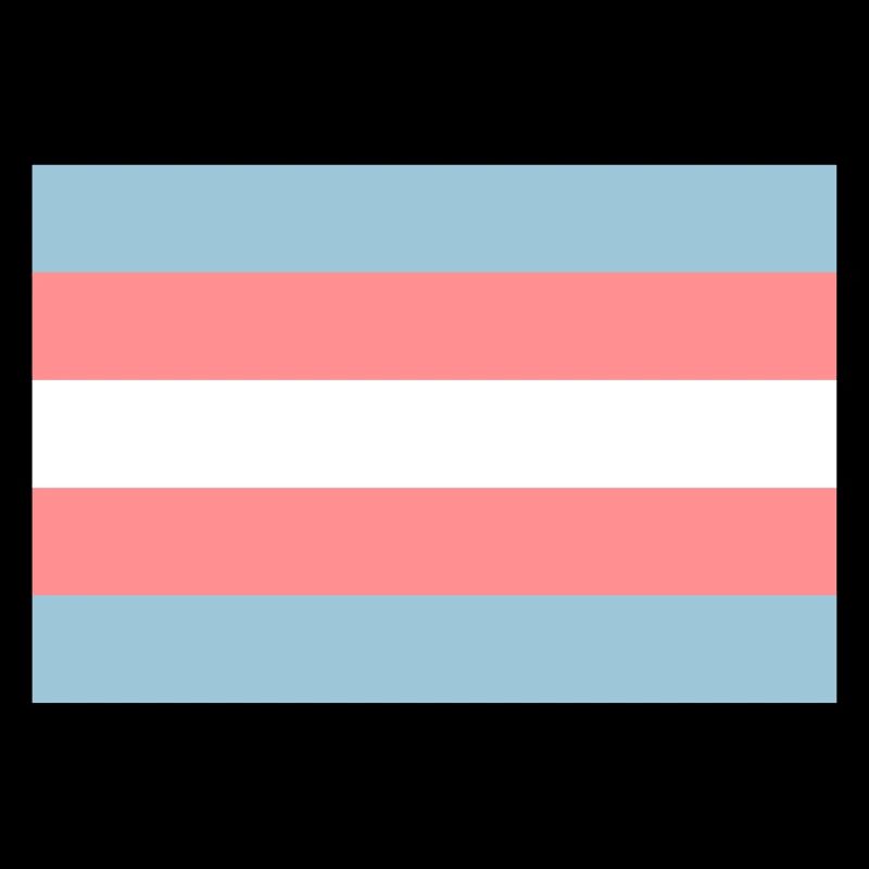 Transgender-Pride-Flag.