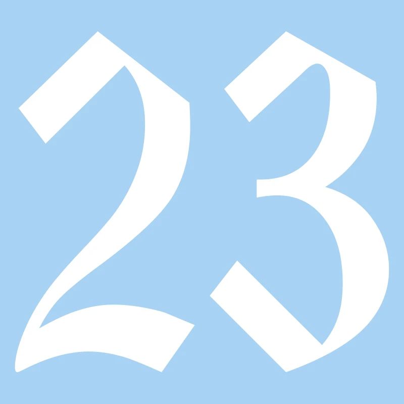 23