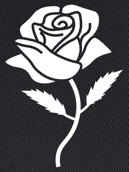 rose