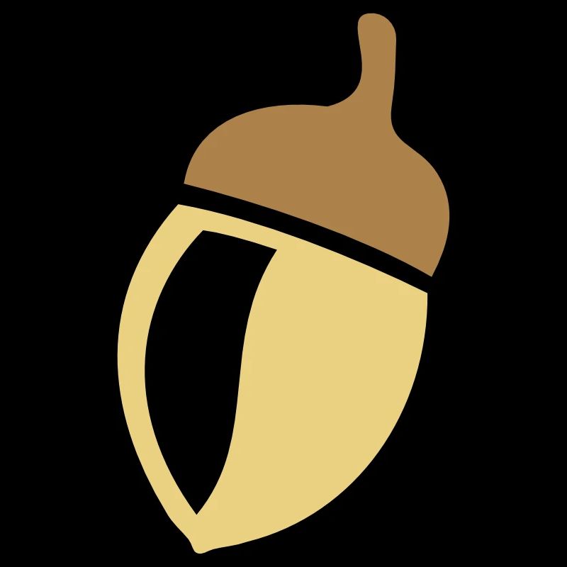 acorn