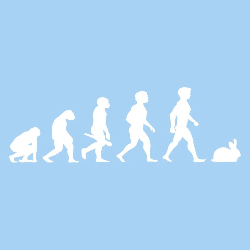 Evolution lapins lapin lapin rongeurs