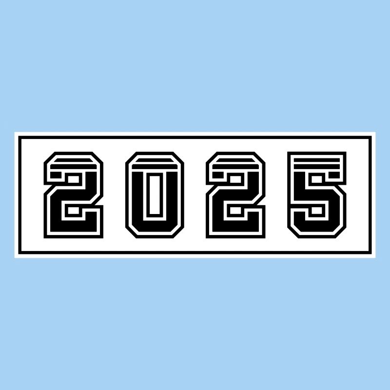 2025 year