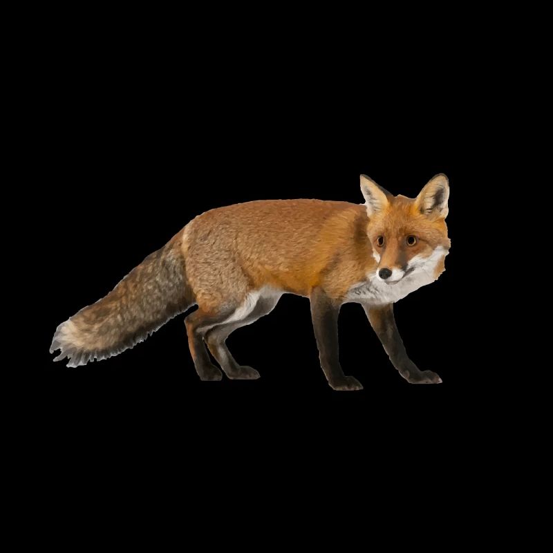Fuchs