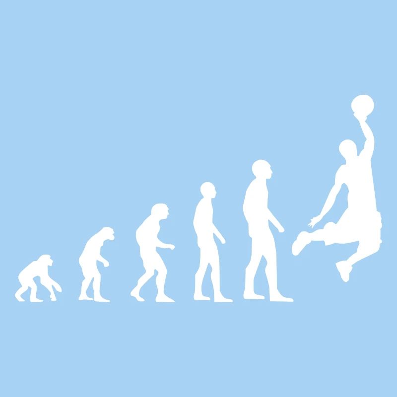 Evolution du basket
