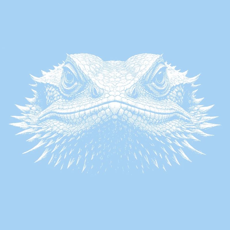 Bearded dragon