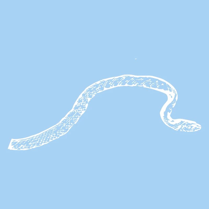 Snake Snakes