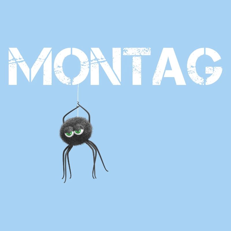 Montags Spinne