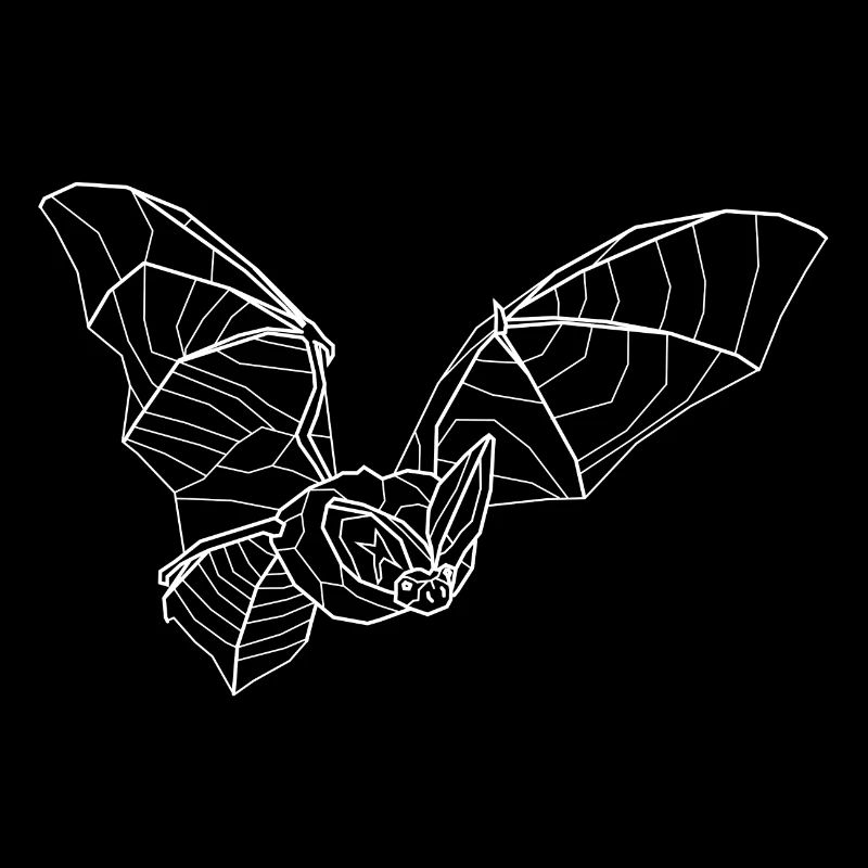 Langohrfledermaus weiß