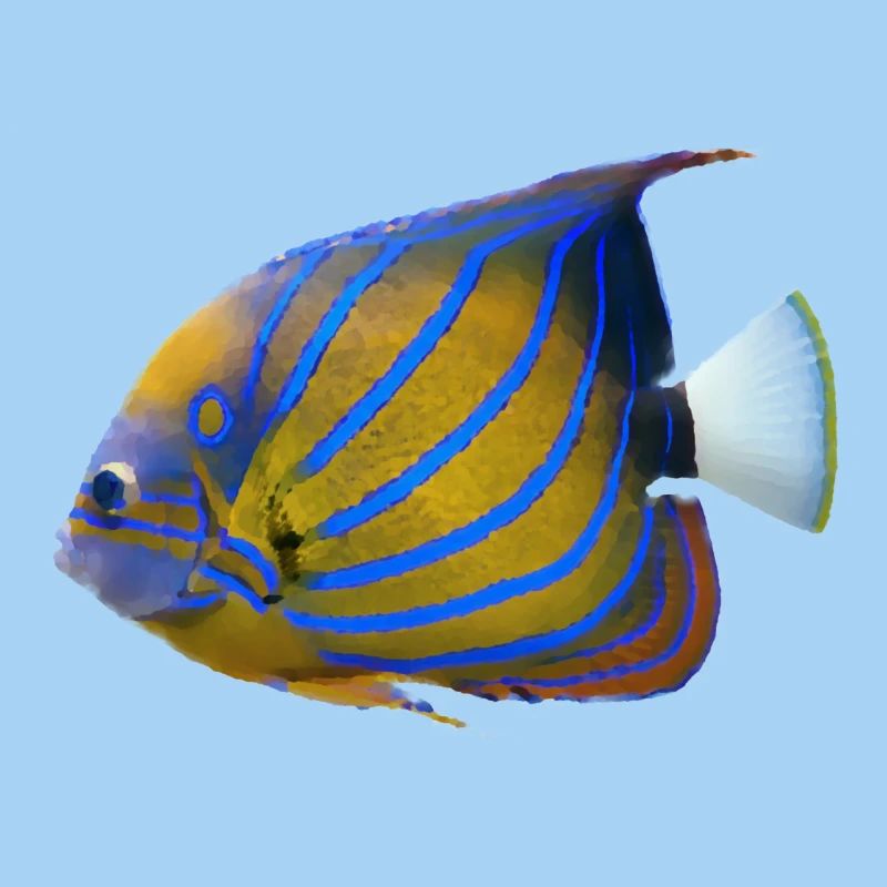 fish tropical