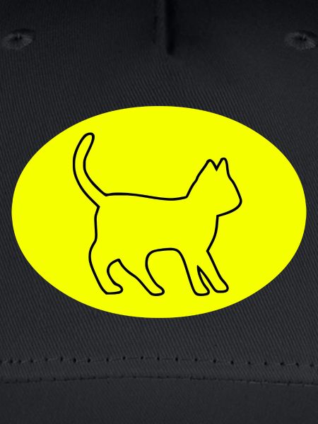 Katze