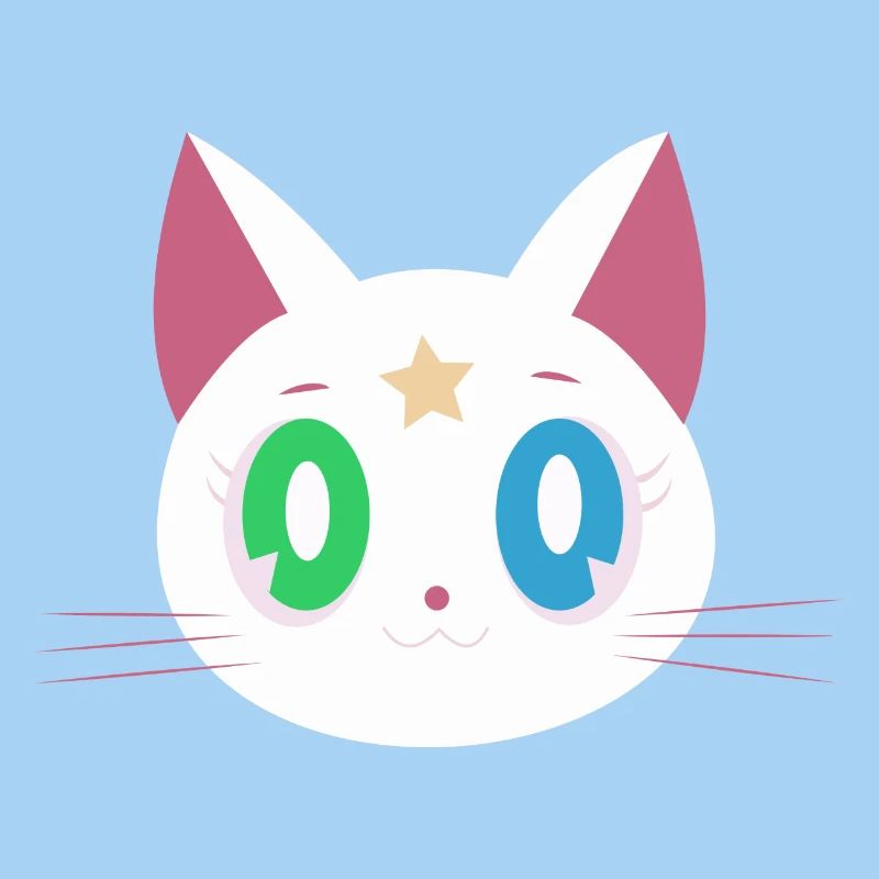 Funny cat