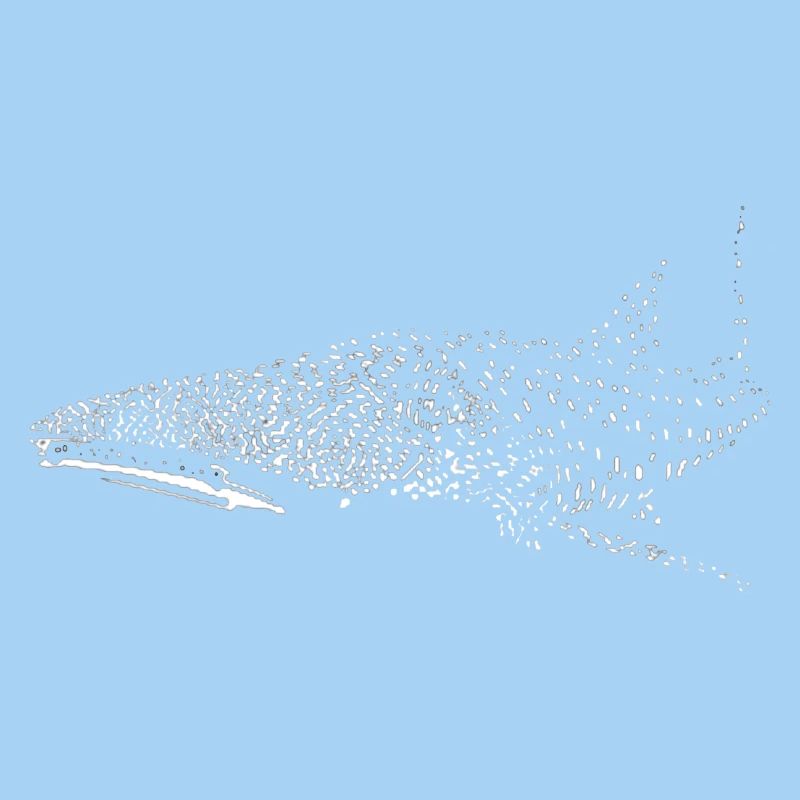 Requin-baleine
