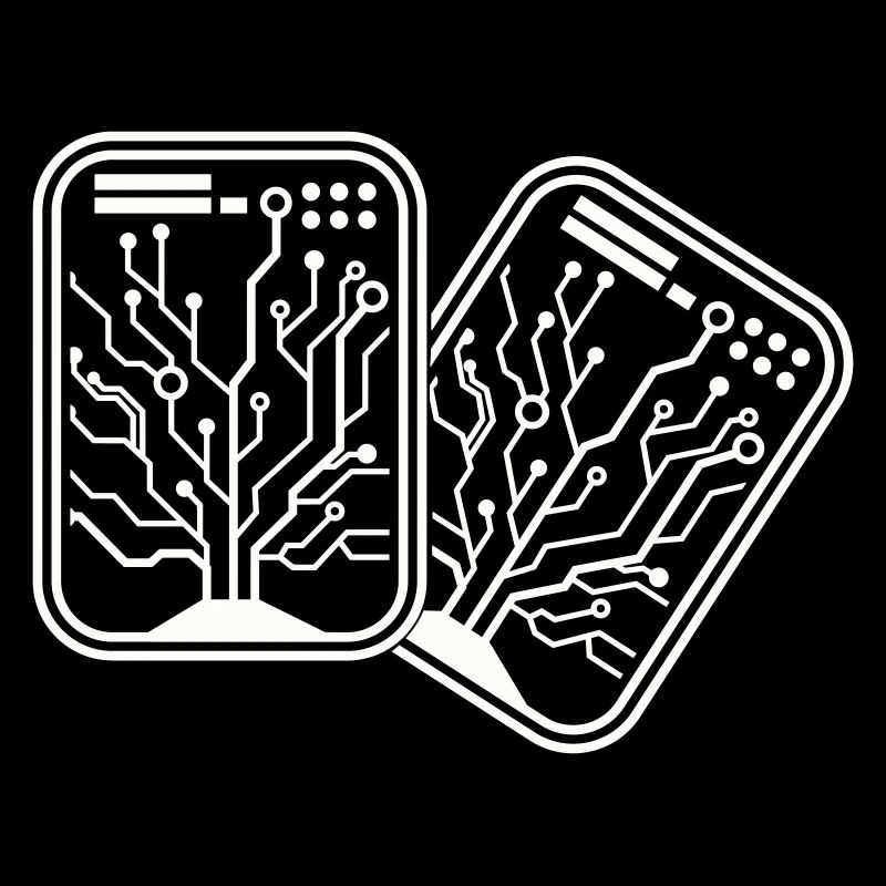 micro chip 2