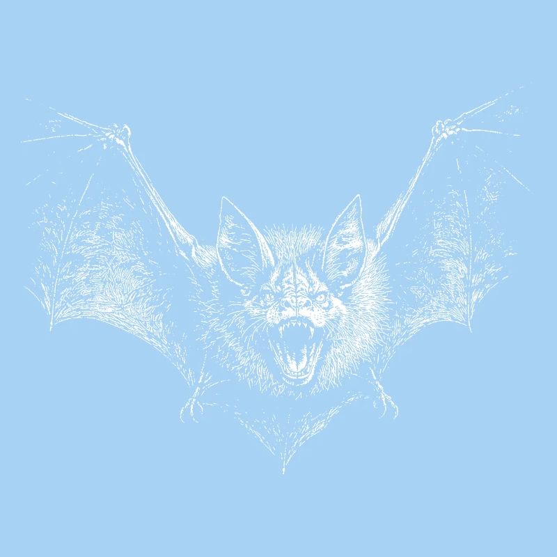 Fledermaus