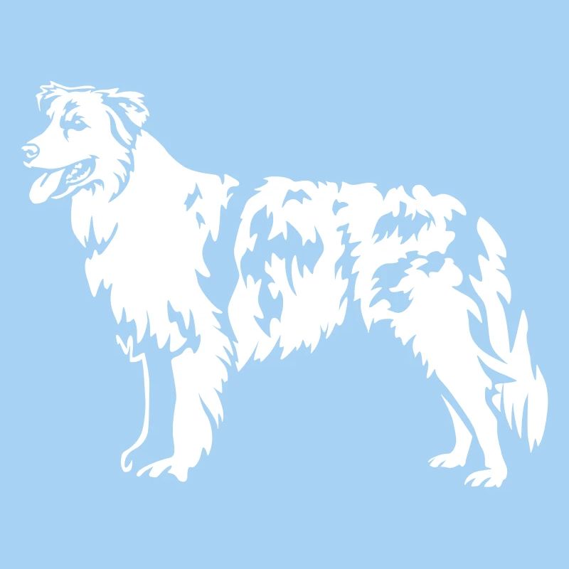 Australian Shepherd "Black Edition"