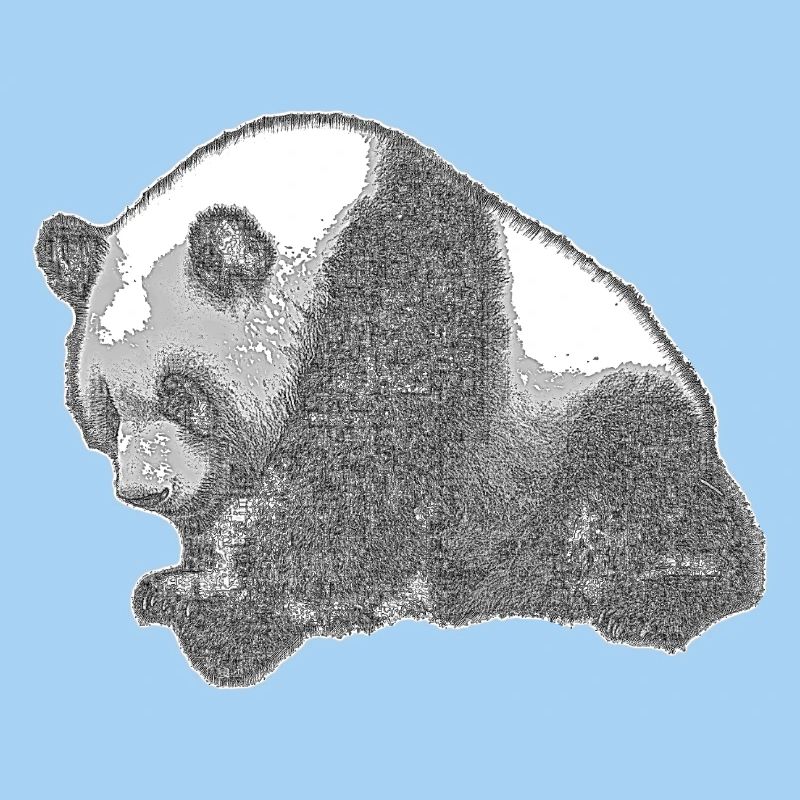 Panda groß
