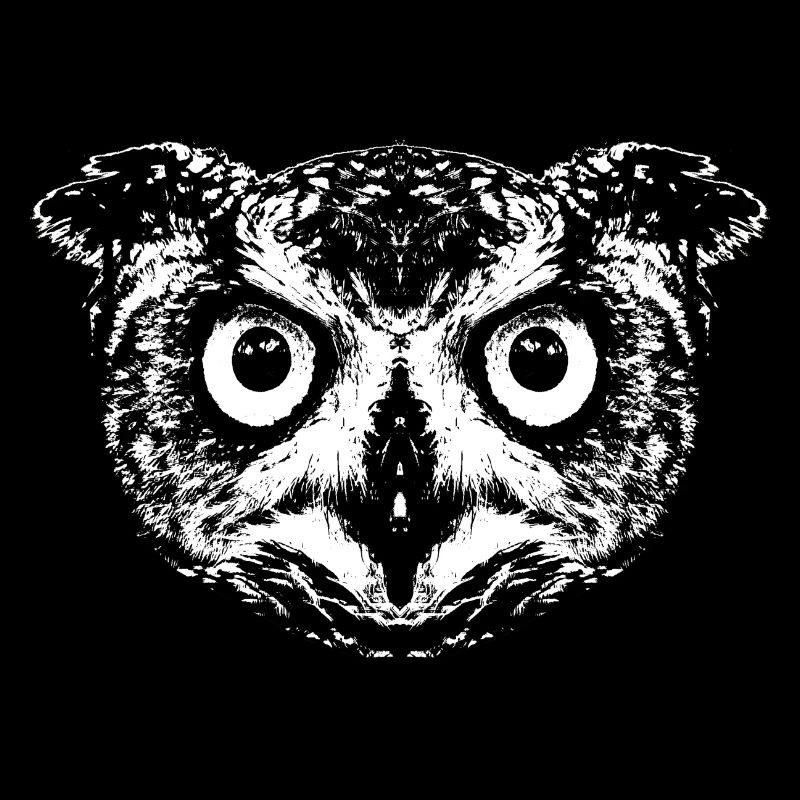 Owl / Eagle Owl / Owl
