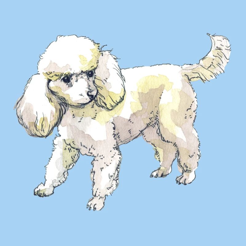 Pudel