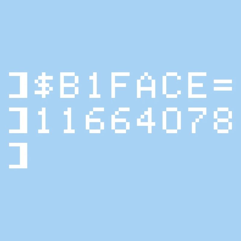 B1FACE Biface Code hexadécimal 8 bit Geek