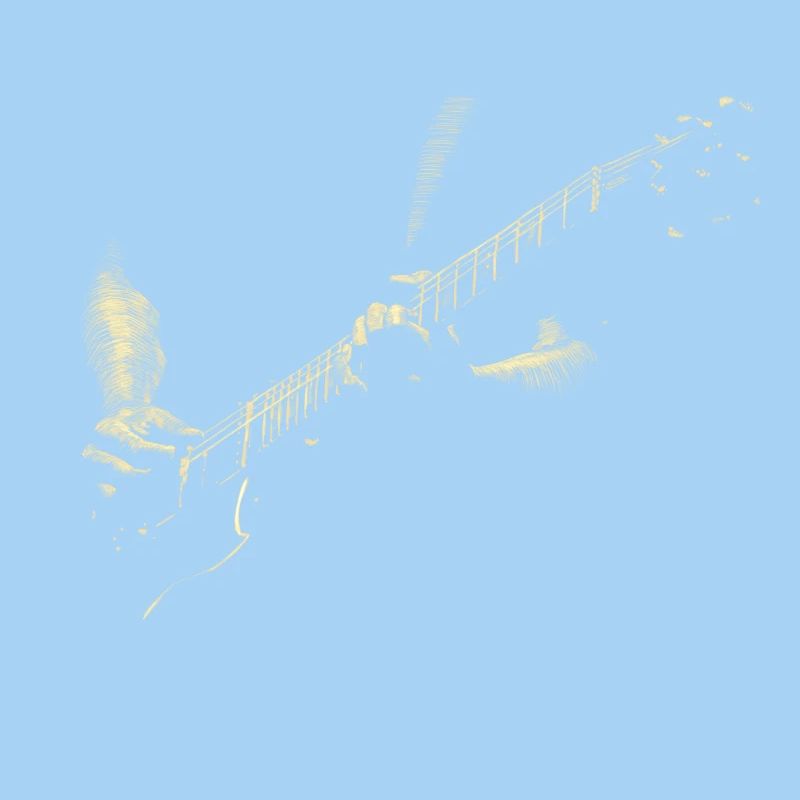 Guitarist